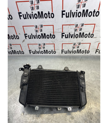 Radiateur d'eau BMW G310 R...