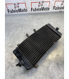 Radiateur d'eau SUZUKI GSX INAZUMA 250 - 2014