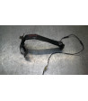 Support de plaque HONDA X-ADV 750 - 2022