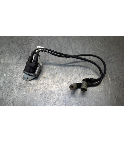 Bobine allumage PIAGGIO MP3 500 - 2018