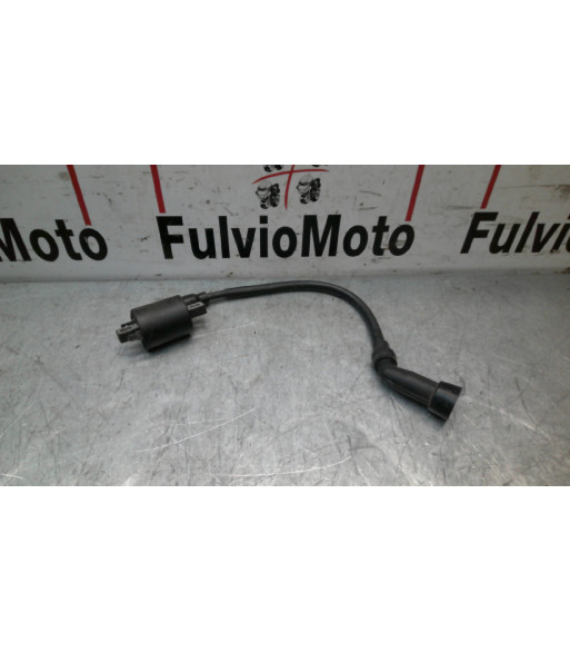 Bobine allumage ORCAL LJ 125 - 2020