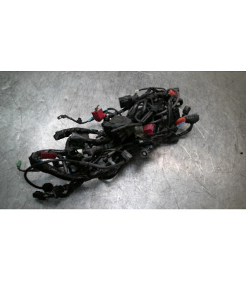 Faisceau électrique Paire HONDA CBR 500 - 2016