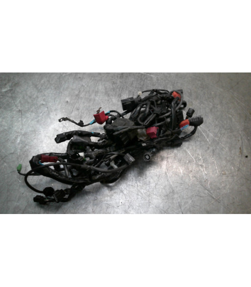 Faisceau électrique Paire HONDA CBR 500 - 2016