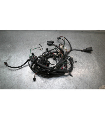 Faisceau électrique DAELIM S2 125 - 2011