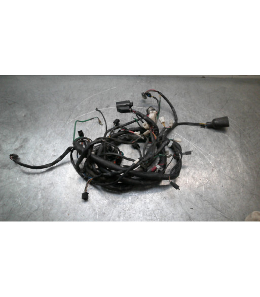 Faisceau électrique DAELIM S2 125 - 2011