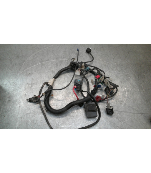 Faisceau électrique YAMAHA YBR 125 - 2009