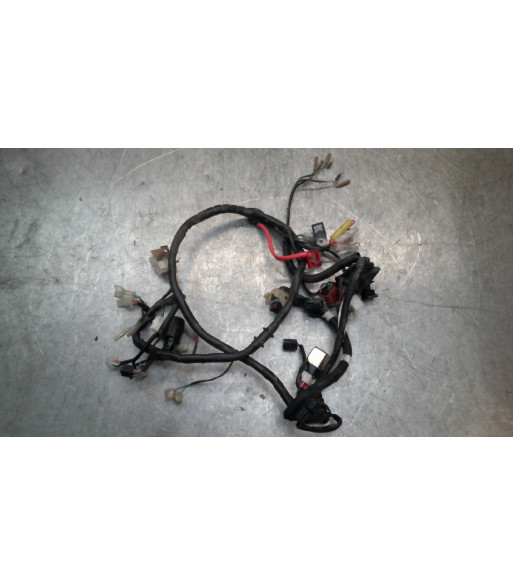 Faisceau électrique KYMCO SUPER 8 50 - 2022