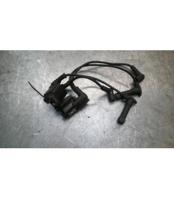 Bobine allumage DUCATI MULTISTRADA 1000 - 2004