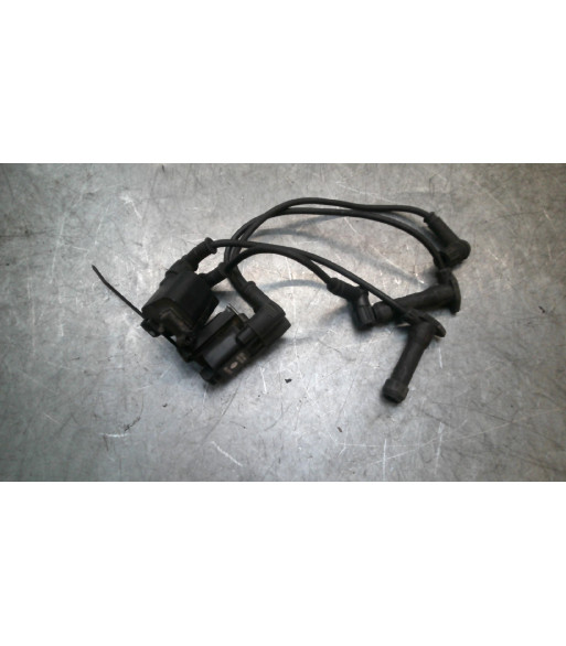 Bobine allumage DUCATI MULTISTRADA 1000 - 2004