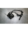 Bobine allumage DUCATI MULTISTRADA 1000 - 2004