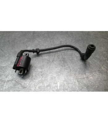 Bobine allumage BENELLI BN 125 - 2021