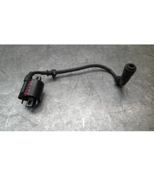 Bobine allumage BENELLI BN 125 - 2021