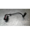 Bobine allumage BENELLI BN 125 - 2021