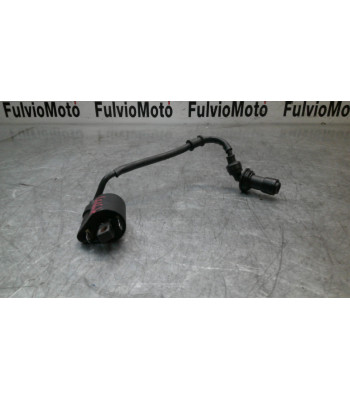 Bobine allumage BENELLI BN 125 - 2021