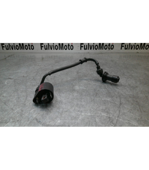 Bobine allumage BENELLI BN 125 - 2021 Bobine allumage BENELLI BN 125 - 2021