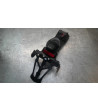 Support de plaque BENELLI BN 125 - 2021