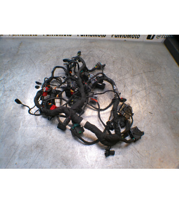 Faisceau électrique CFMOTO NK 800 - 2024