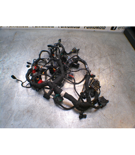 Faisceau électrique CFMOTO NK 800 - 2024