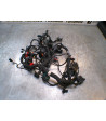 Faisceau électrique CFMOTO NK 800 - 2024