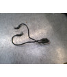 Bobine allumage PIAGGIO MP3 500 - 2020