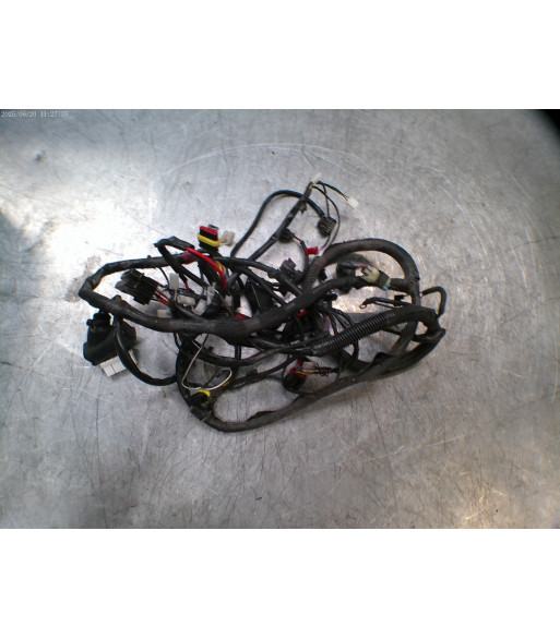Faisceau électrique PIAGGIO ZIP 50 - 2019