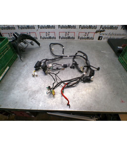 Faisceau électrique KYMCO AGIL 16+ 50 - 2024