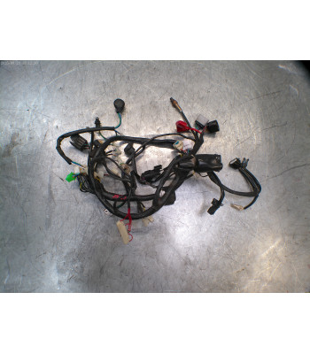Faisceau électrique JM MOTORS F 45 I 50 - 2023