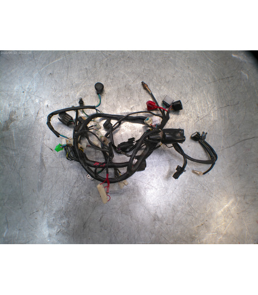 Faisceau électrique JM MOTORS F 45 I 50 - 2023
