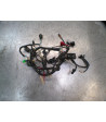 Faisceau électrique JM MOTORS F 45 I 50 - 2023