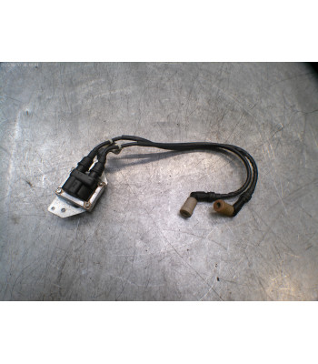 Bobine allumage PIAGGIO MP3 500 - 2015