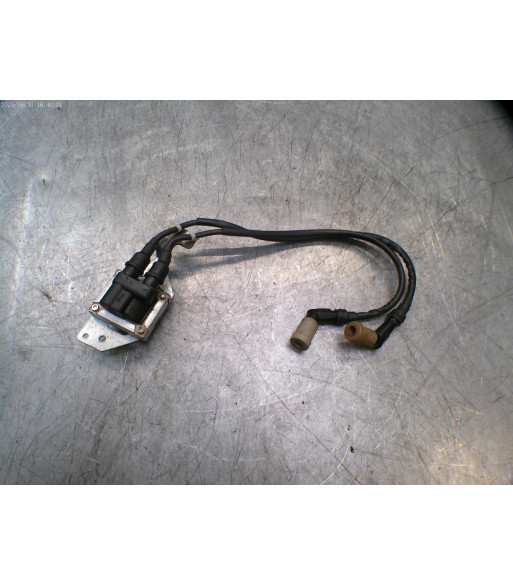 Bobine allumage PIAGGIO MP3 500 - 2015