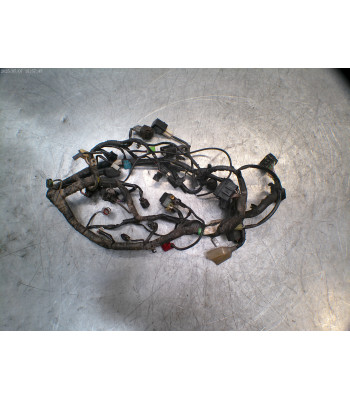 Faisceau électrique KAWASAKI NINJA 300 - 2014