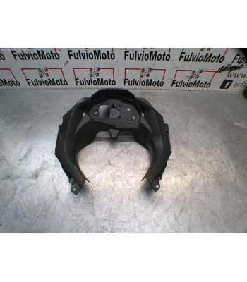 Entourage de tableau de bord KAWASAKI NINJA 300 - 2014