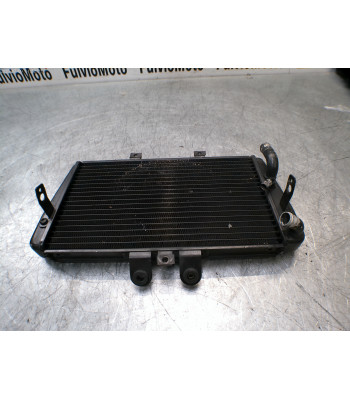 Radiateur d'eau TRIUMPH SPEED TRIPLE 955 - 2000