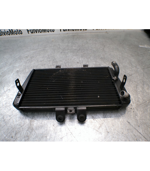 Radiateur d'eau TRIUMPH SPEED TRIPLE 955 - 2000
