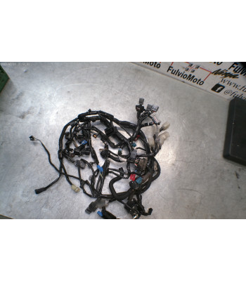 Faisceau électrique KAWASAKI Z900 - 2023