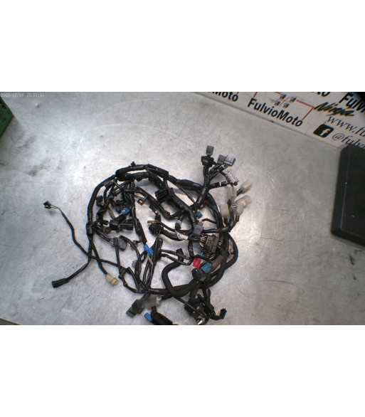 Faisceau électrique KAWASAKI Z900 - 2023
