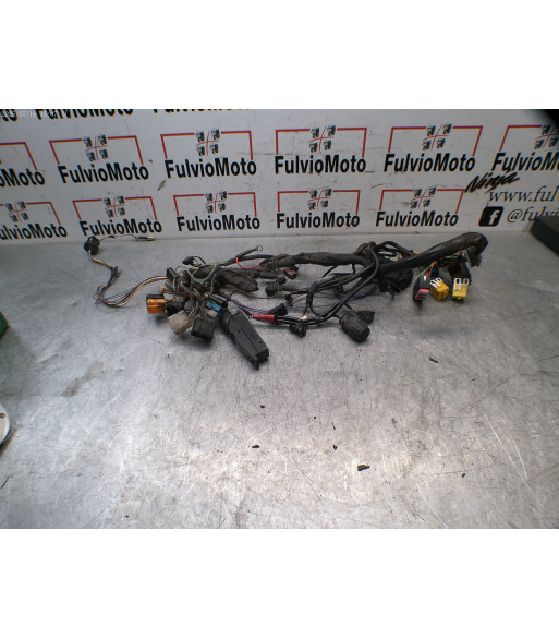 Faisceau électrique BMW R1150R 1150 - 2001