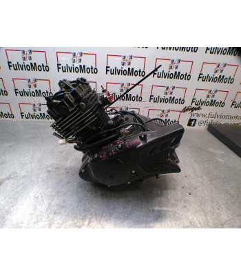 Moteur QINGQI QM GY 125 - 2009