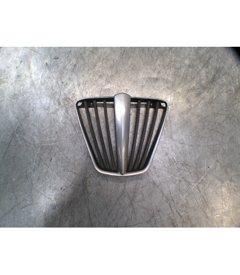 Grille de radiateur Avant PIAGGIO MP3 400 - 2009