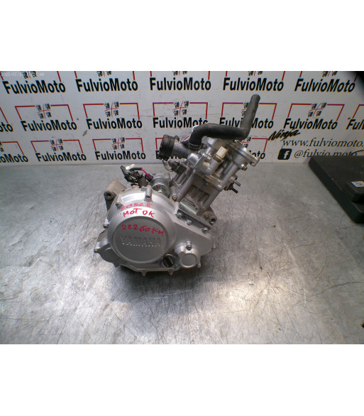 Moteur YAMAHA WR 125 - 2010 Moteur YAMAHA WR 125 - 2010