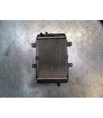 Radiateur d'eau SYM JOY-MAX 125 - 2019