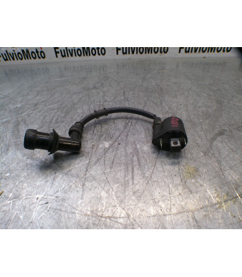 Bobine allumage JM MOTORS F 45 I - 2023