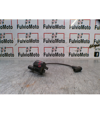 Bobine allumage DUCATI MONSTER 796 - 2012