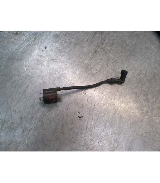 Bobine allumage YAMAHA MAJESTY 125 - 2006