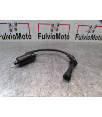 Bobine allumage SUZUKI SV 650 - 2001