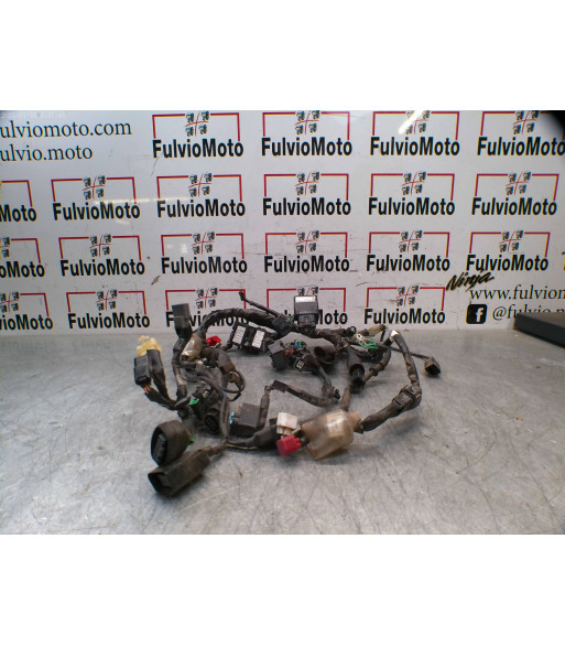 Faisceau électrique HONDA CBF 125 - 2020