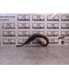 Collecteur échappement SUZUKI RMX 50 - 2002