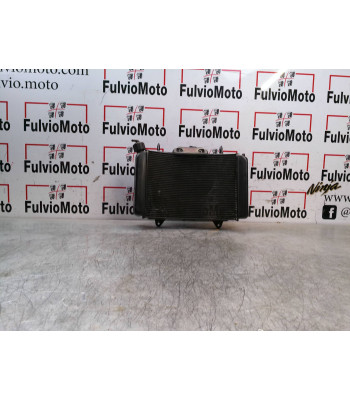 Radiateur d'eau KTM DUKE 790 - 2020