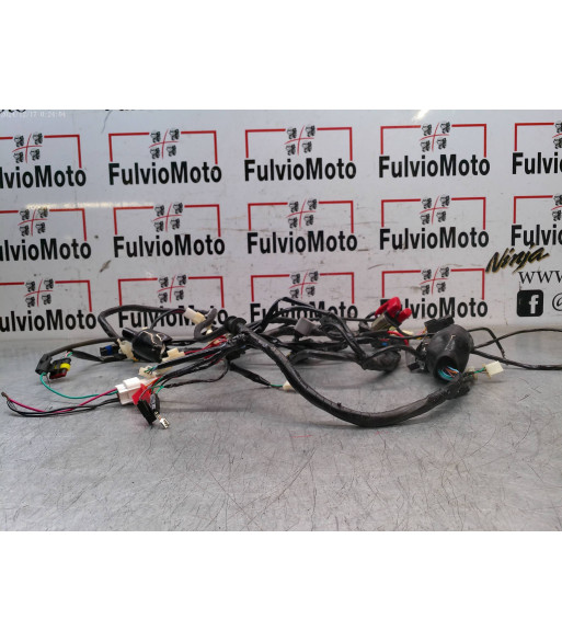 Faisceau électrique NECO DINNO 125 - 2024